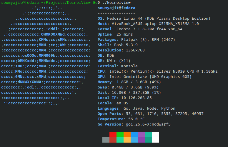 KernelView Default Fetch Mode with Fedora ASCII Art and System Telemetry